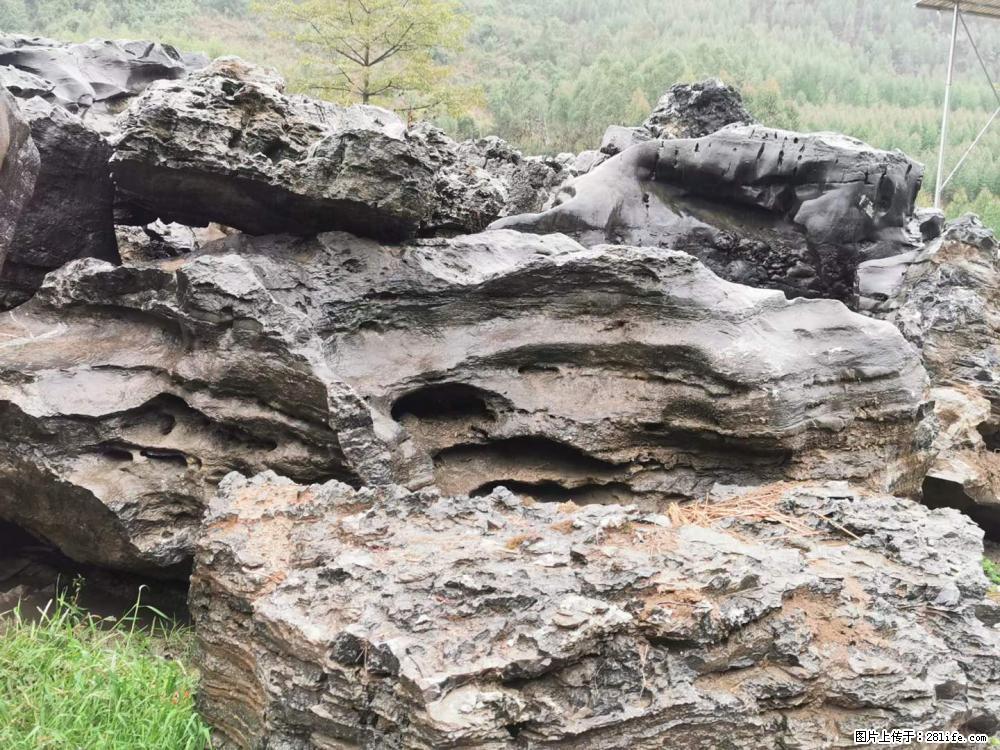 风景石、假山石大量有货,有需要的欢迎联系 - 新手上路 - 信阳生活社区 - 信阳28生活网 xy.28life.com