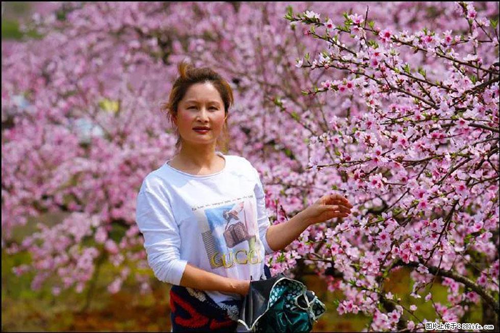 【春天,广西桂林灌阳县向您发出邀请!】官庄村有个醉美的桃花园 - 游山玩水 - 信阳生活社区 - 信阳28生活网 xy.28life.com