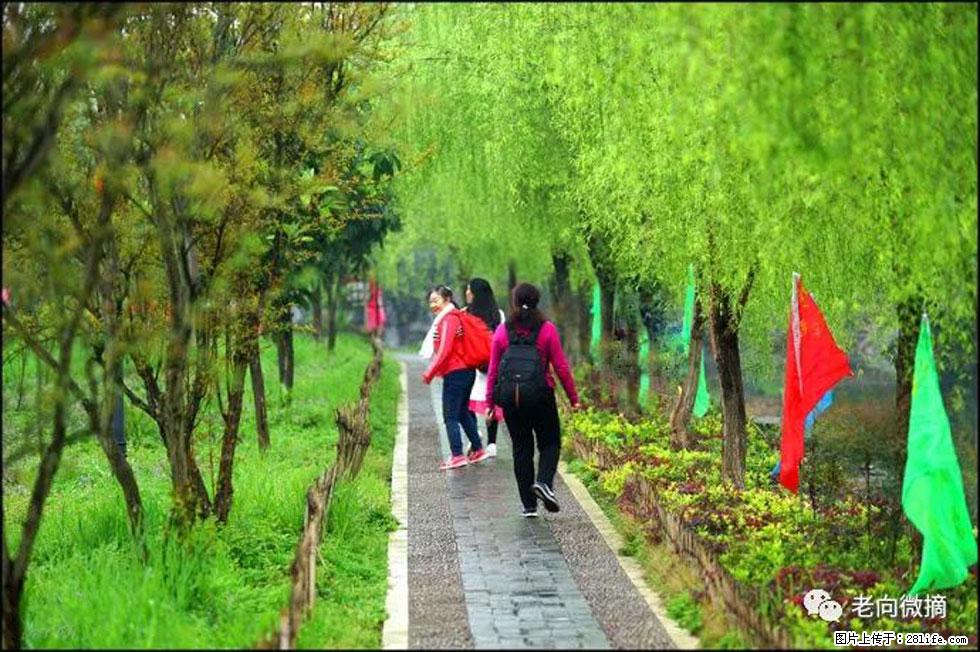 【春天,广西桂林灌阳县向您发出邀请!】江口老街又逢春 - 游山玩水 - 信阳生活社区 - 信阳28生活网 xy.28life.com