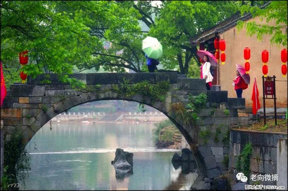 【春天,广西桂林灌阳县向您发出邀请!】江口老街又逢春 - 游山玩水 - 信阳生活社区 - 信阳28生活网 xy.28life.com