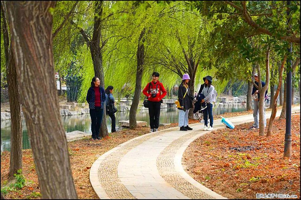 【春天,广西桂林灌阳县向您发出邀请!】江口老街又逢春 - 游山玩水 - 信阳生活社区 - 信阳28生活网 xy.28life.com
