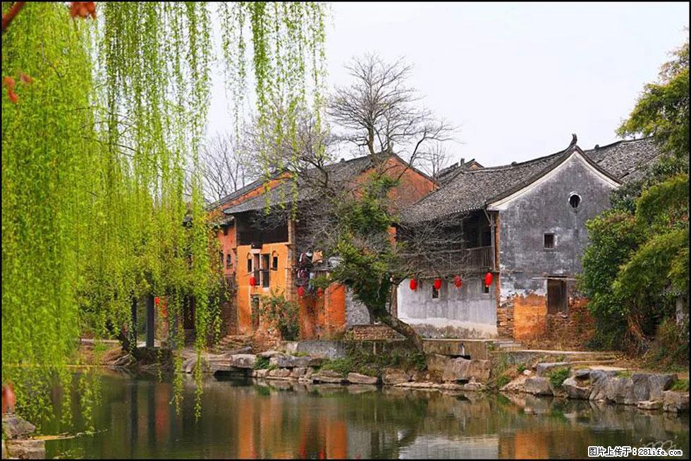 【春天,广西桂林灌阳县向您发出邀请!】江口老街又逢春 - 游山玩水 - 信阳生活社区 - 信阳28生活网 xy.28life.com