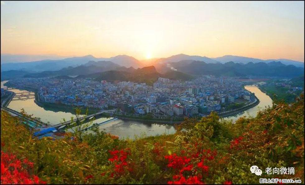【春天,广西桂林灌阳县向您发出邀请!】登麒麟山,相约映山红 - 游山玩水 - 信阳生活社区 - 信阳28生活网 xy.28life.com