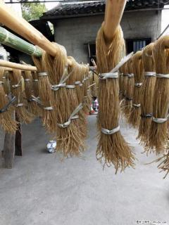 【灌阳正宗红薯粉】美女家里自己做的，干净卫生，假一赔十，价格合理，抢购电话：13737312895 - 信阳28生活网 xy.28life.com