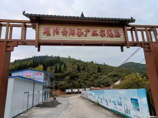 【灌阳县油茶产业示范区】一个有着充实的精神生活的人,对待身外之物自会有一种淡泊的态度 - 信阳28生活网 xy.28life.com