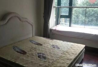 恒大名都精裝两房家具家电齐全拎包入住可半年租 - 信阳28生活网 xy.28life.com