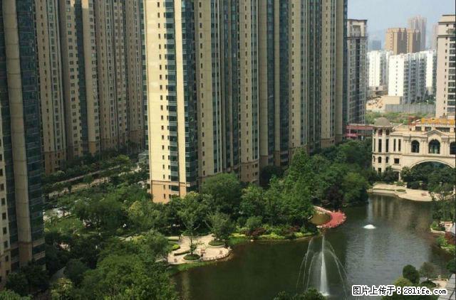 羊山新区恒大公寓 1室1厅 精装修 半年付家电齐全 机不可失 - 房屋出租 - 房屋租售 - 信阳分类信息 - 信阳28生活网 xy.28life.com