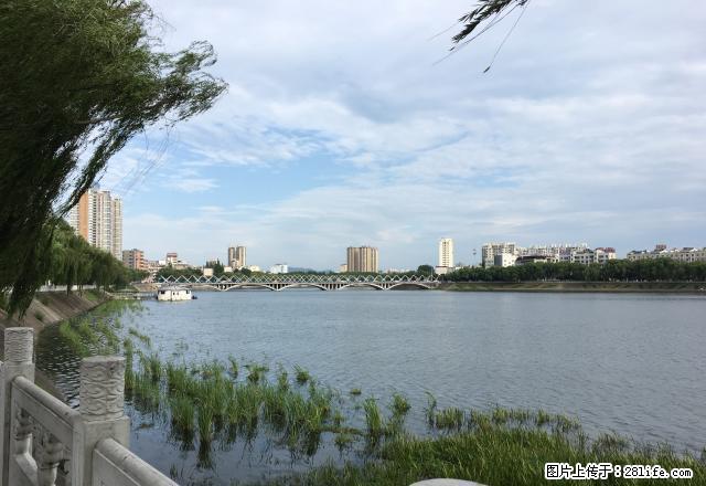 弘昌运动城 金色水岸2室两厅 视野好 采光好 电梯房 - 房屋出租 - 房屋租售 - 信阳分类信息 - 信阳28生活网 xy.28life.com