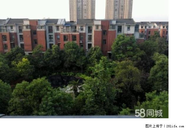 羊山新区 东方金典精装大3房 随时配合看房 区新家具拎包入住 - 房屋出租 - 房屋租售 - 信阳分类信息 - 信阳28生活网 xy.28life.com