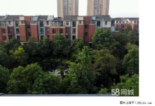 羊山新区 东方金典精装大3房 随时配合看房 区新家具拎包入住 - 信阳28生活网 xy.28life.com