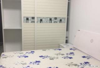 恒大名都 东方今典精装公寓 拎包入住 随时看房 - 信阳28生活网 xy.28life.com