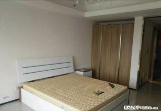 喜报 恒大名都精装公寓只要1300元公寓里面价格超低的一套 - 信阳28生活网 xy.28life.com