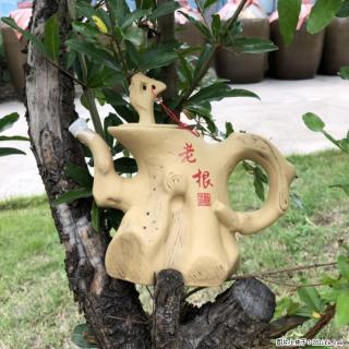 做白酒代理的利润怎么样? - 信阳28生活网 xy.28life.com