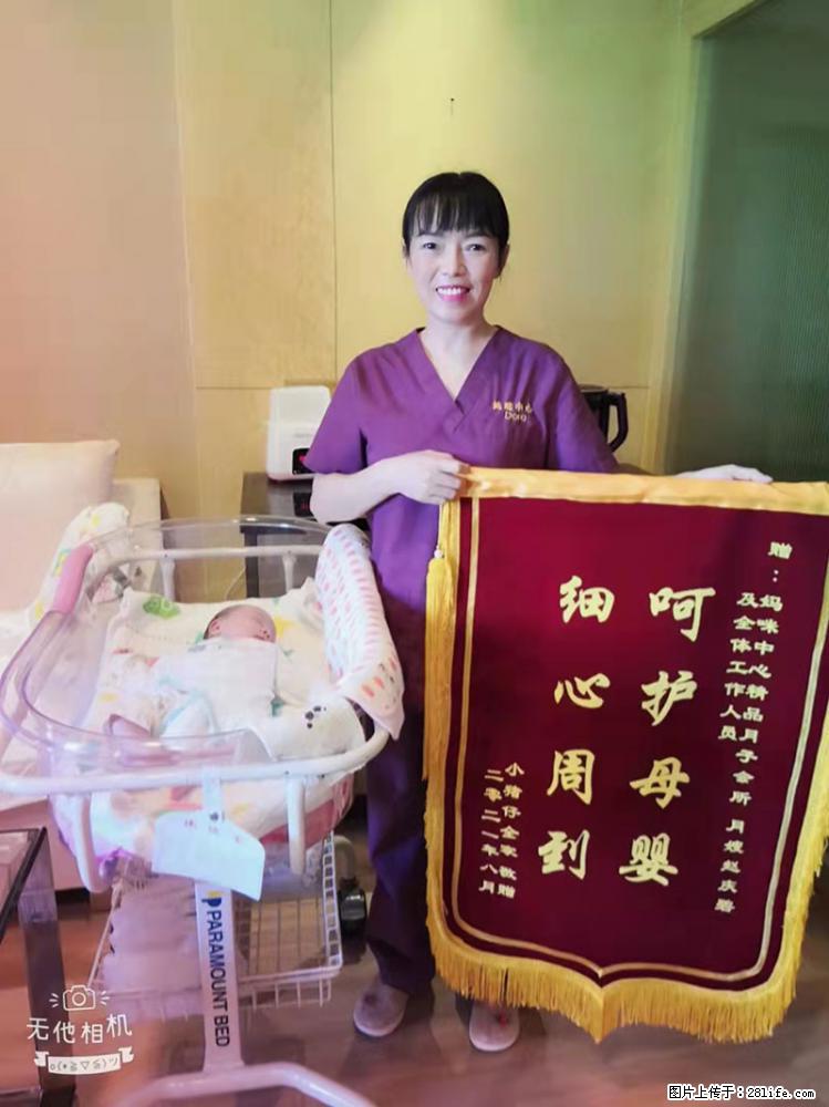 上海高端月子会所招新手月嫂,零基础带教,包吃住 - 职场交流 - 信阳生活社区 - 信阳28生活网 xy.28life.com