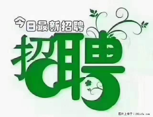 【招聘摄像师】待遇:试用期6000元/月,转正7000元/月+五险一金+餐补+节日福利+奖金 - 职场交流 - 信阳生活社区 - 信阳28生活网 xy.28life.com