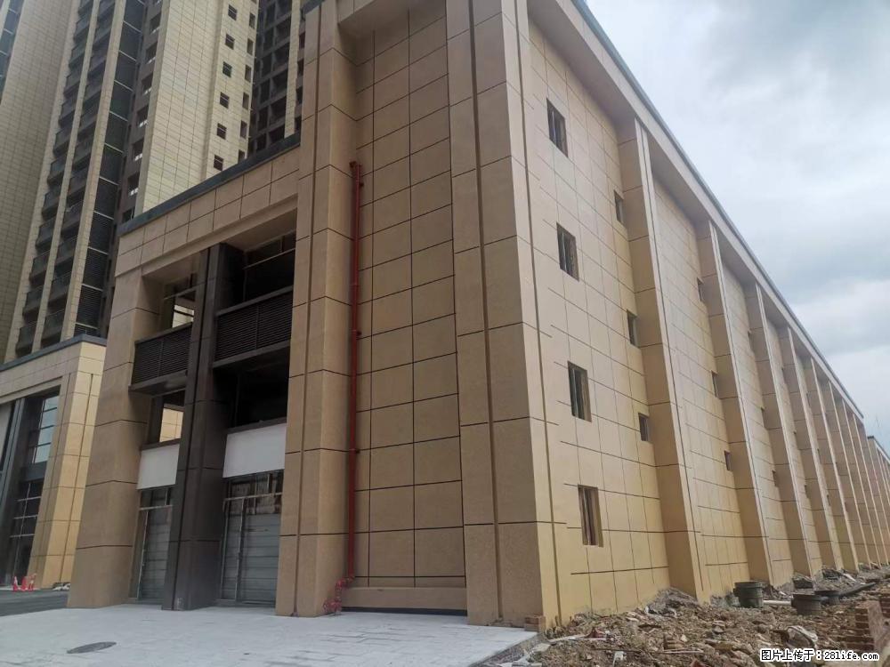 【广西三象建筑安装工程有限公司】外墙涂料工程 - 新手上路 - 信阳生活社区 - 信阳28生活网 xy.28life.com