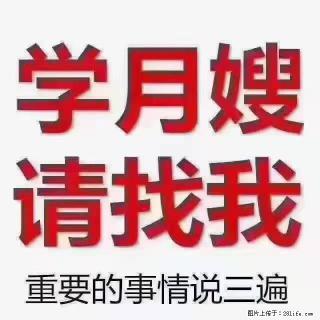 【招聘】月嫂，上海徐汇区 - 信阳28生活网 xy.28life.com