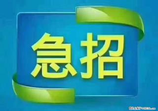 招出纳8000元/月，无证可以，要有相关经验，上海五险一金，包住，包工作餐，做六休一。 - 信阳28生活网 xy.28life.com