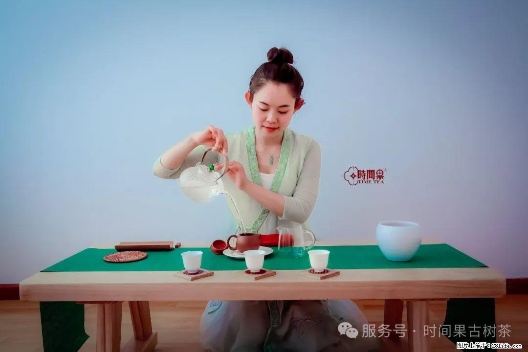 时间果百年古树龙珠普洱生茶 - 购物交流 - 信阳生活社区 - 信阳28生活网 xy.28life.com