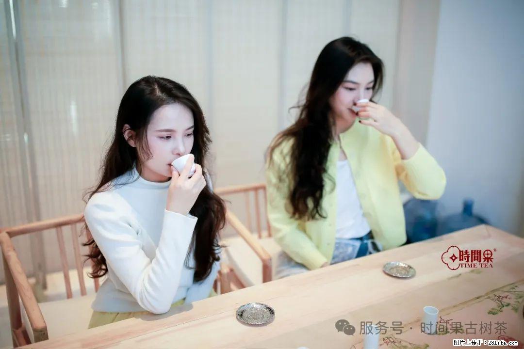 时间果百年古树龙珠普洱生茶 - 购物交流 - 信阳生活社区 - 信阳28生活网 xy.28life.com