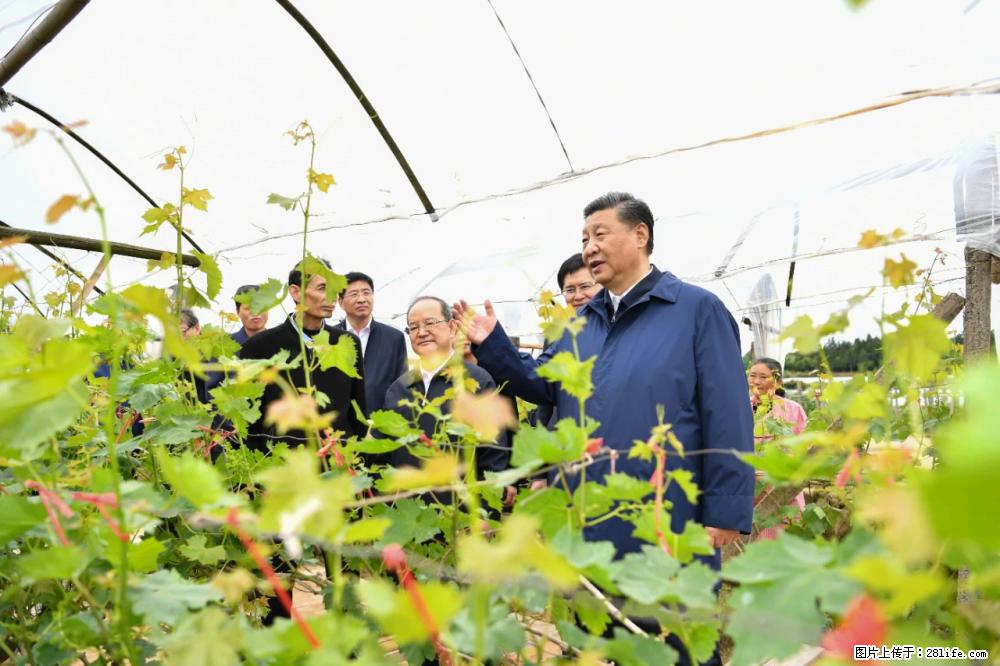 习近平赴广西考察调研 - 信阳生活资讯 - 信阳28生活网 xy.28life.com