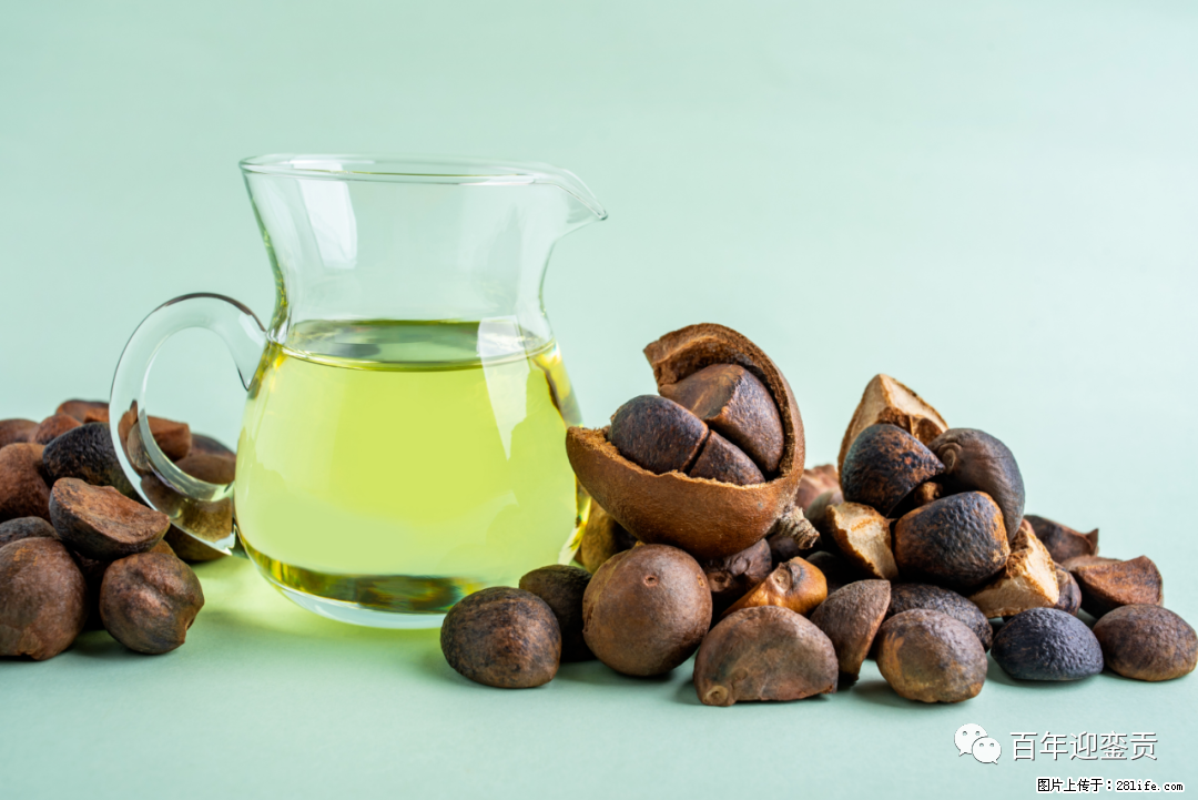 揭秘茶油的5大核心营养成分!被称为人体健康的“守护盾”! - 信阳生活资讯 - 信阳28生活网 xy.28life.com
