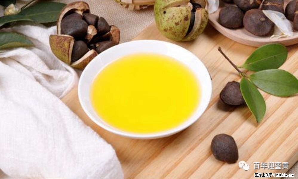 揭秘茶油的5大核心营养成分!被称为人体健康的“守护盾”! - 信阳生活资讯 - 信阳28生活网 xy.28life.com