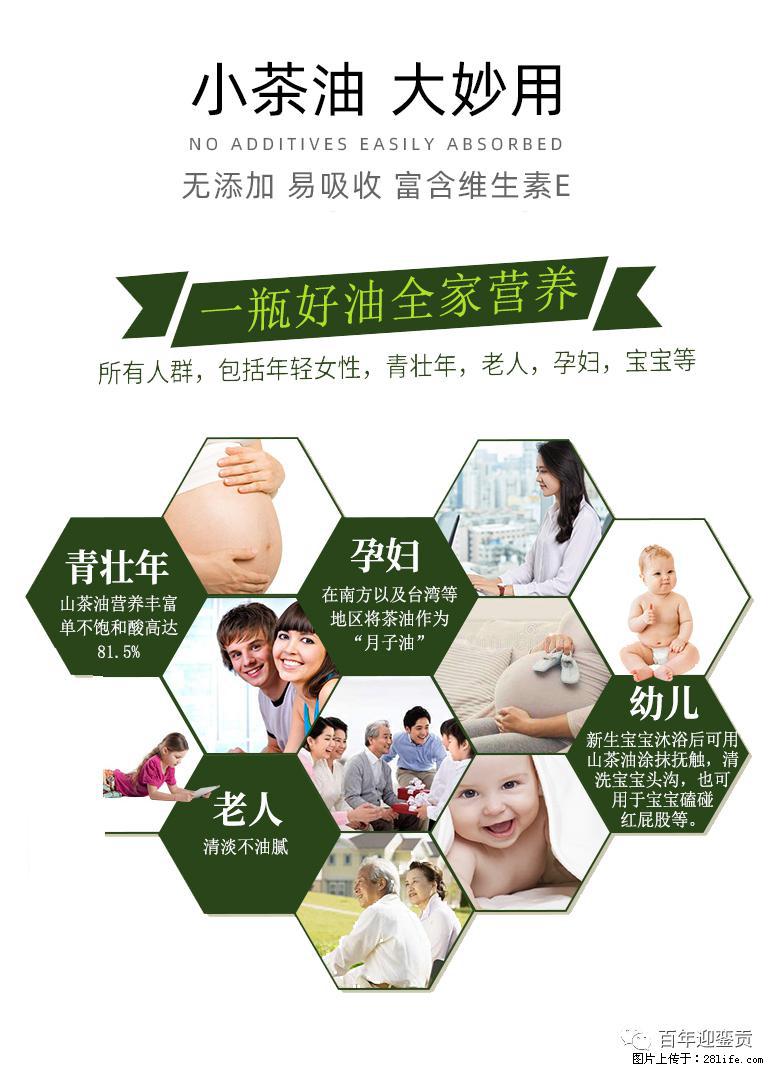 世界没有真相,只有认知,最好的食用油是中国的山茶油! - 信阳生活资讯 - 信阳28生活网 xy.28life.com