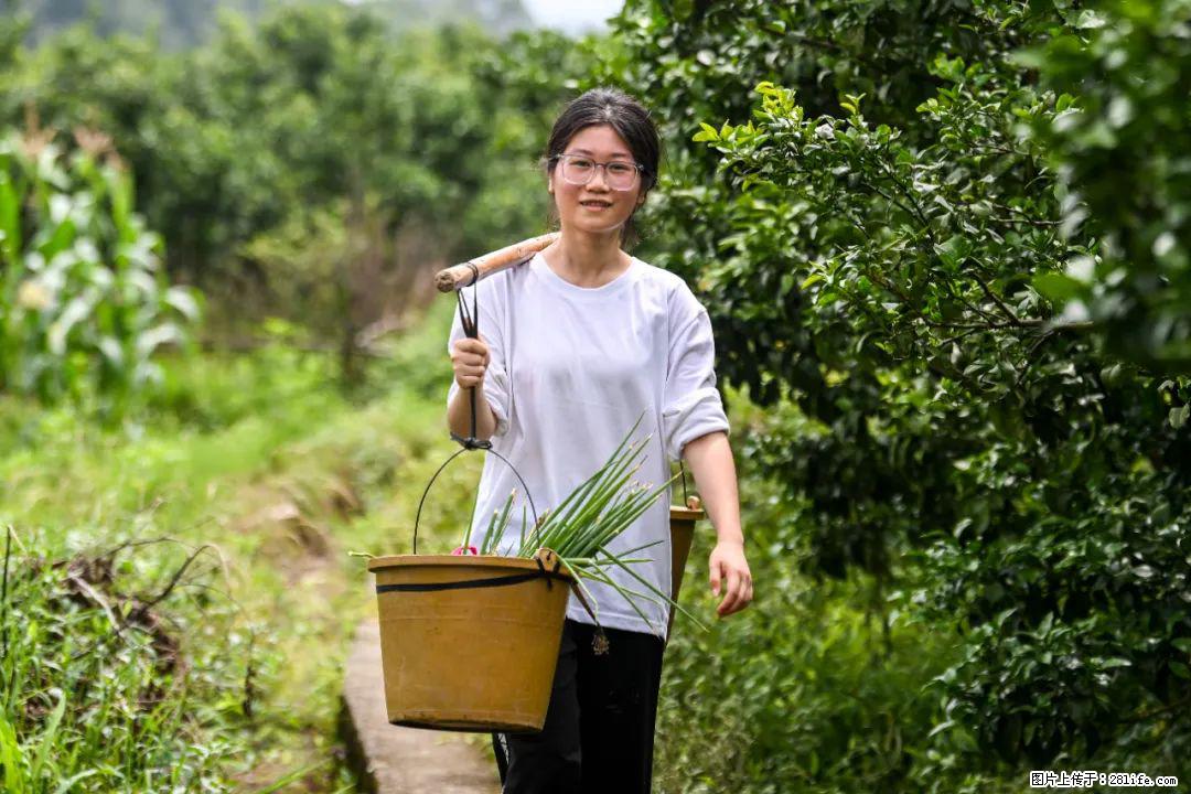 全网追的“扁担女孩”，找了一份暑假工，时薪12元 - 信阳生活资讯 - 信阳28生活网 xy.28life.com