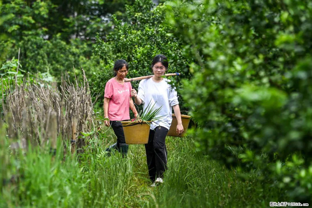 全网追的“扁担女孩”，找了一份暑假工，时薪12元 - 信阳生活资讯 - 信阳28生活网 xy.28life.com
