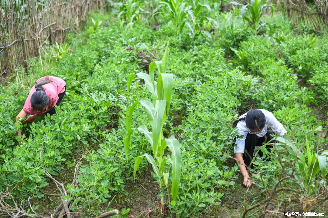全网追的“扁担女孩”，找了一份暑假工，时薪12元 - 信阳生活资讯 - 信阳28生活网 xy.28life.com