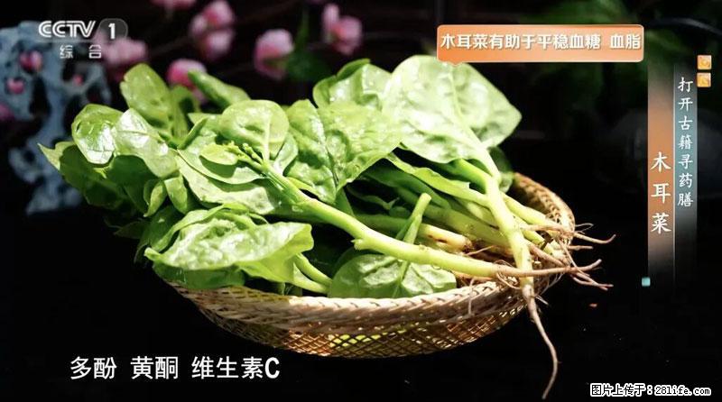 比牛奶补钙还厉害！凉血解毒、稳血糖...这菜冬天必吃，很多人却当草 - 信阳生活资讯 - 信阳28生活网 xy.28life.com