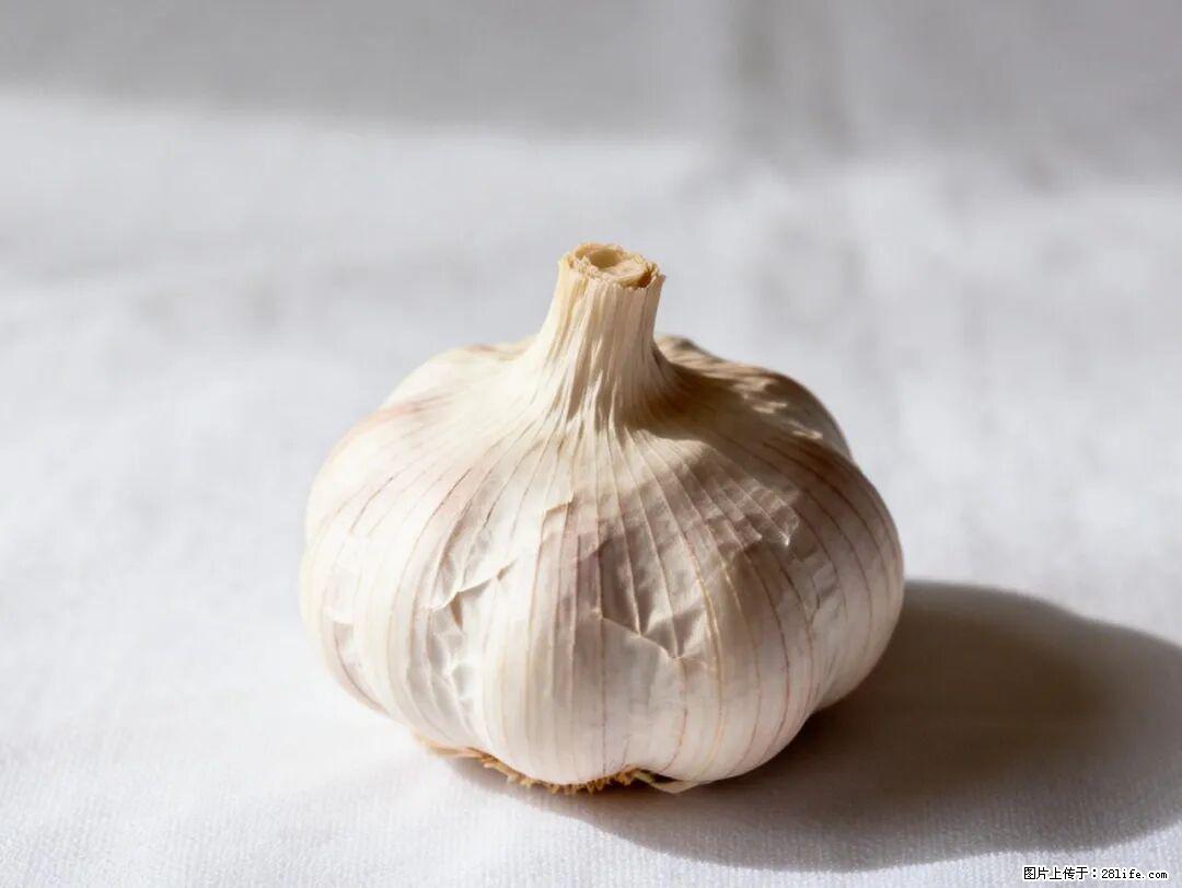 关于大蒜，除了“天然抗生素”，这4个谣言更该警惕! - 信阳生活资讯 - 信阳28生活网 xy.28life.com