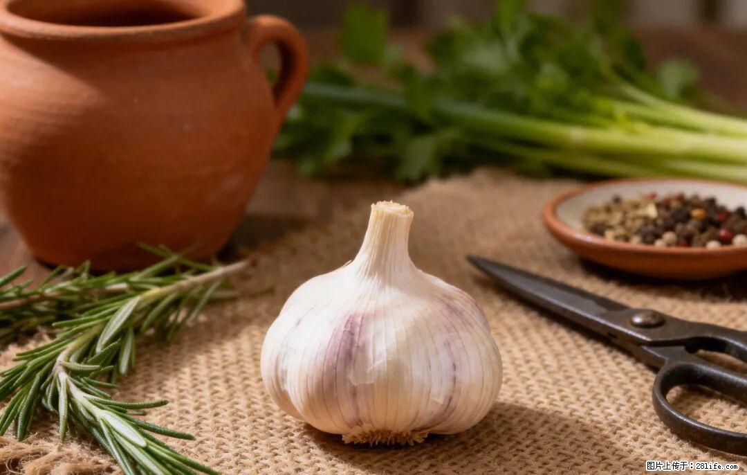 关于大蒜，除了“天然抗生素”，这4个谣言更该警惕! - 信阳生活资讯 - 信阳28生活网 xy.28life.com