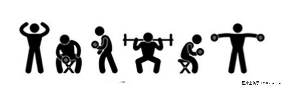 坚持这种运动6个月，心脏有了显著变化！不是跑步，也不是走路 - 信阳生活资讯 - 信阳28生活网 xy.28life.com