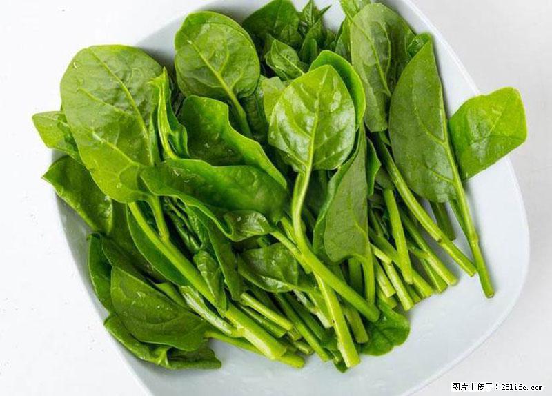 这些蔬菜是“天然钙片”，这6种被医生重点推荐 - 信阳生活资讯 - 信阳28生活网 xy.28life.com