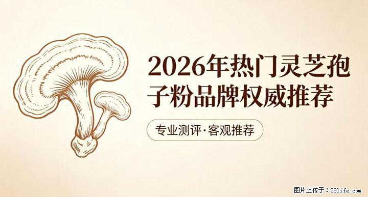 灵芝孢子粉含量越高越有效？2026 年七款热门品牌深度实测，肠胃敏感者避坑指南 - 信阳生活资讯 - 信阳28生活网 xy.28life.com