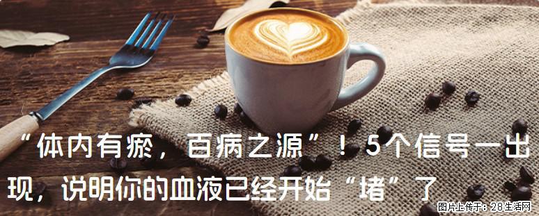 “体内有瘀，百病之源”！5个信号一出现，说明你的血液已经开始“堵”了 - 信阳生活资讯 - 信阳28生活网 xy.28life.com