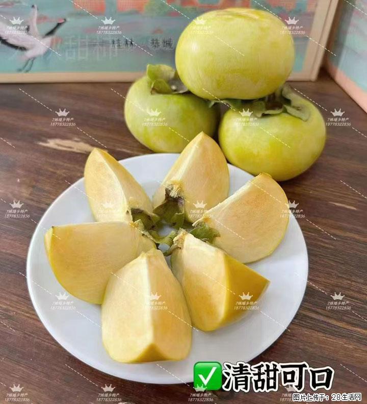 广西桂林平乐桥亭【红心猕猴桃】、【大秋甜柿】上市啦，欢迎各位新老客户下单（另有少量小果出售） - 信阳生活资讯 - 信阳28生活网 xy.28life.com